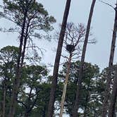 Review photo of North Toledo Bend State Park Campground by Gladys A., February 4, 2024