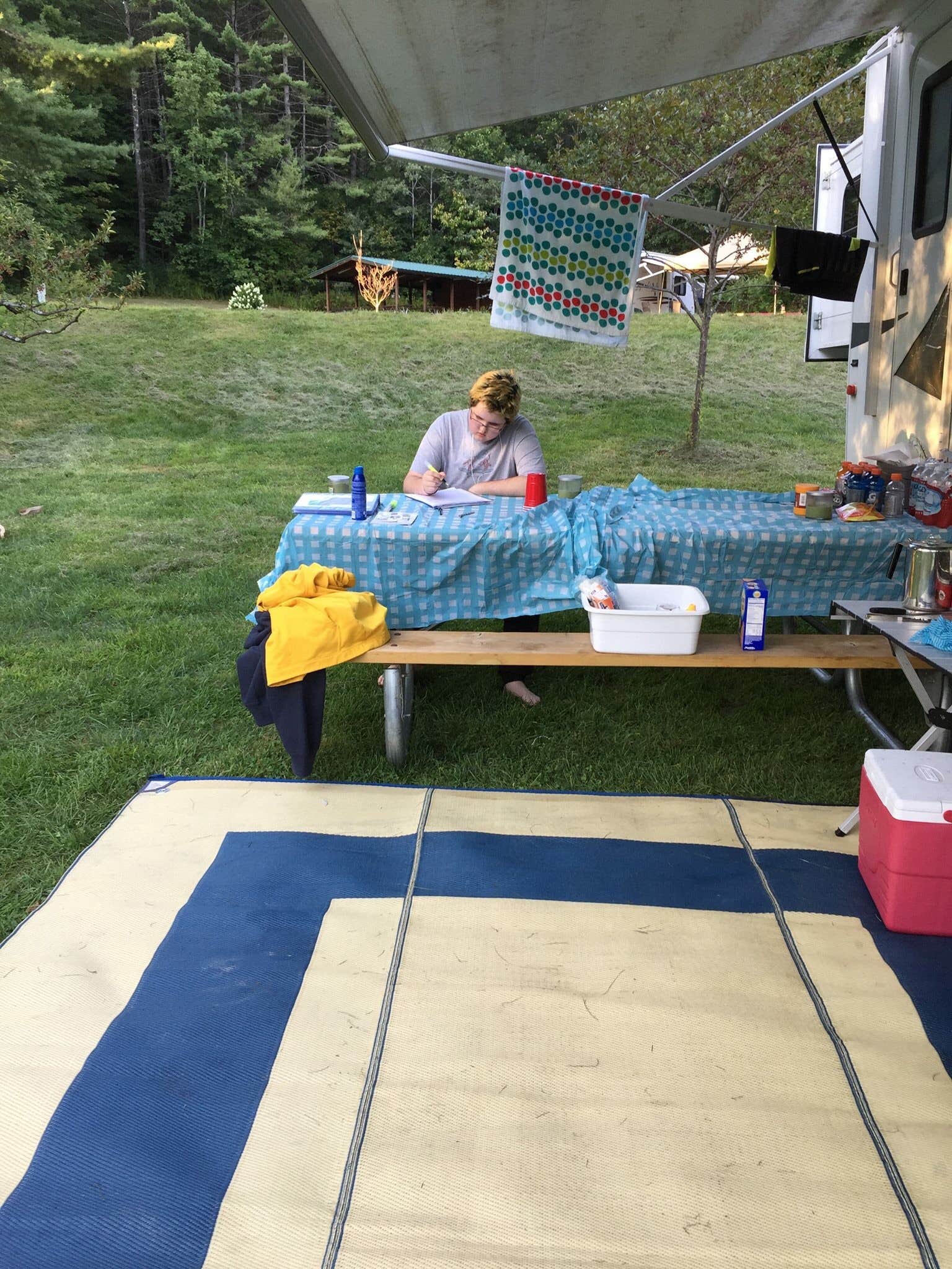 Camper submitted image from Winhall Brook Camping Area - TEMPORARILY CLOSED - 5