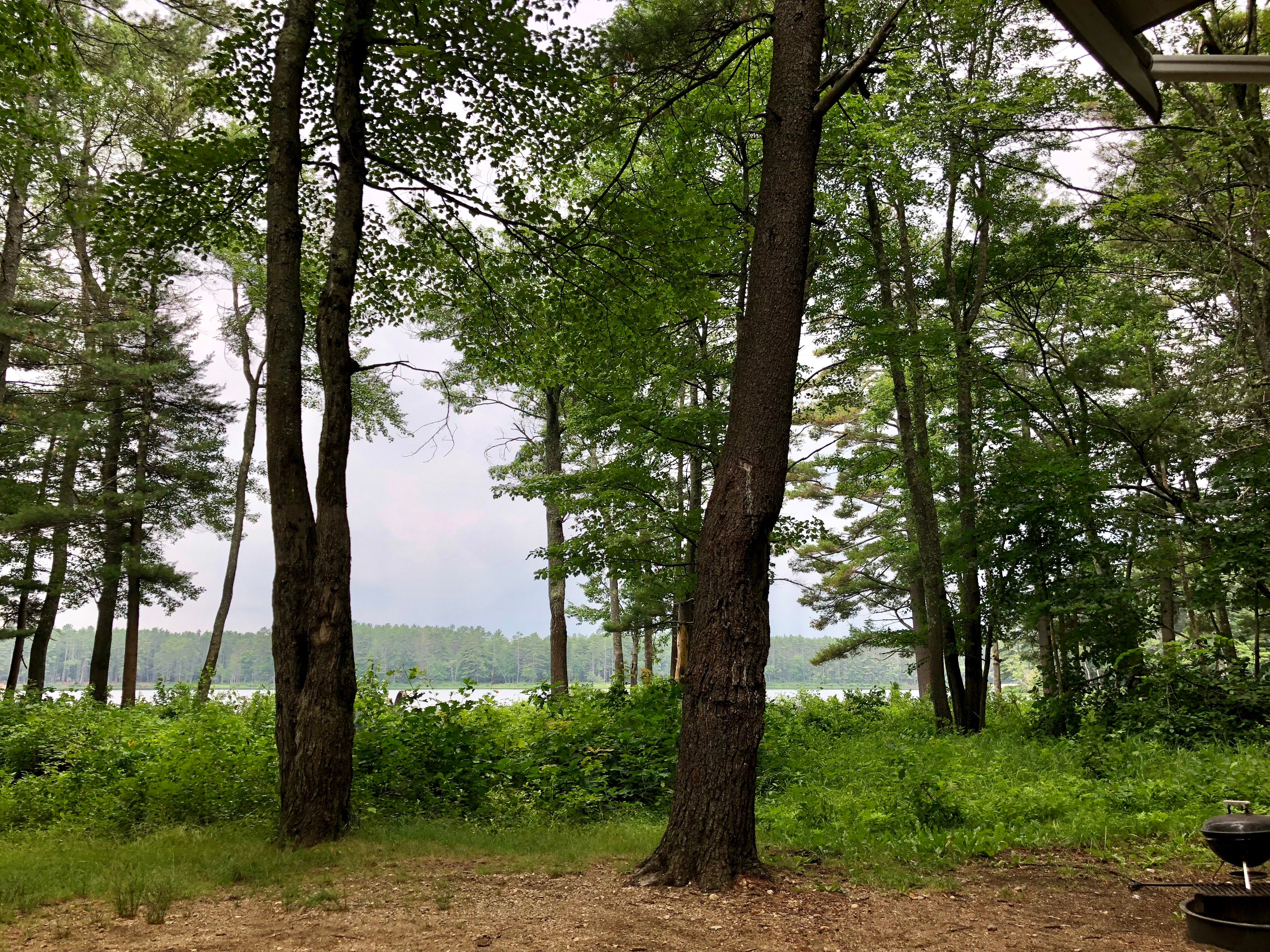 Camper submitted image from Lake Dennison Recreation Area - 2