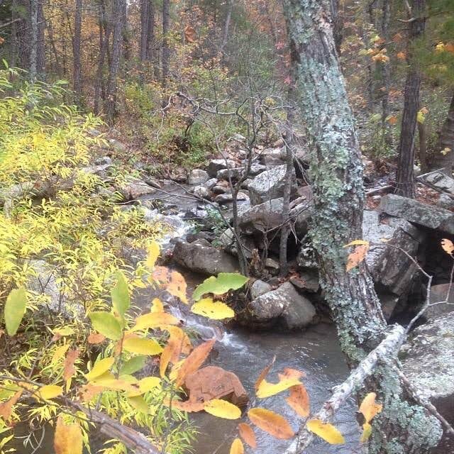 Camper submitted image from Billy Creek - 2