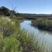 Review photo of Skidaway Island State Park Campground by Tara F., November 19, 2018