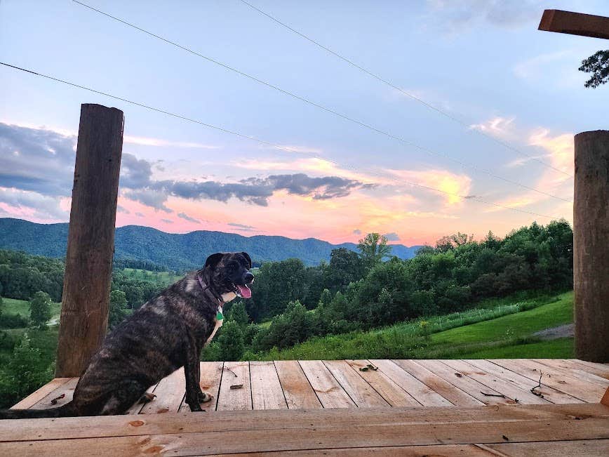 Jessica M.'s photo of camping with pets at Breath of Dawn near Lynch, KY