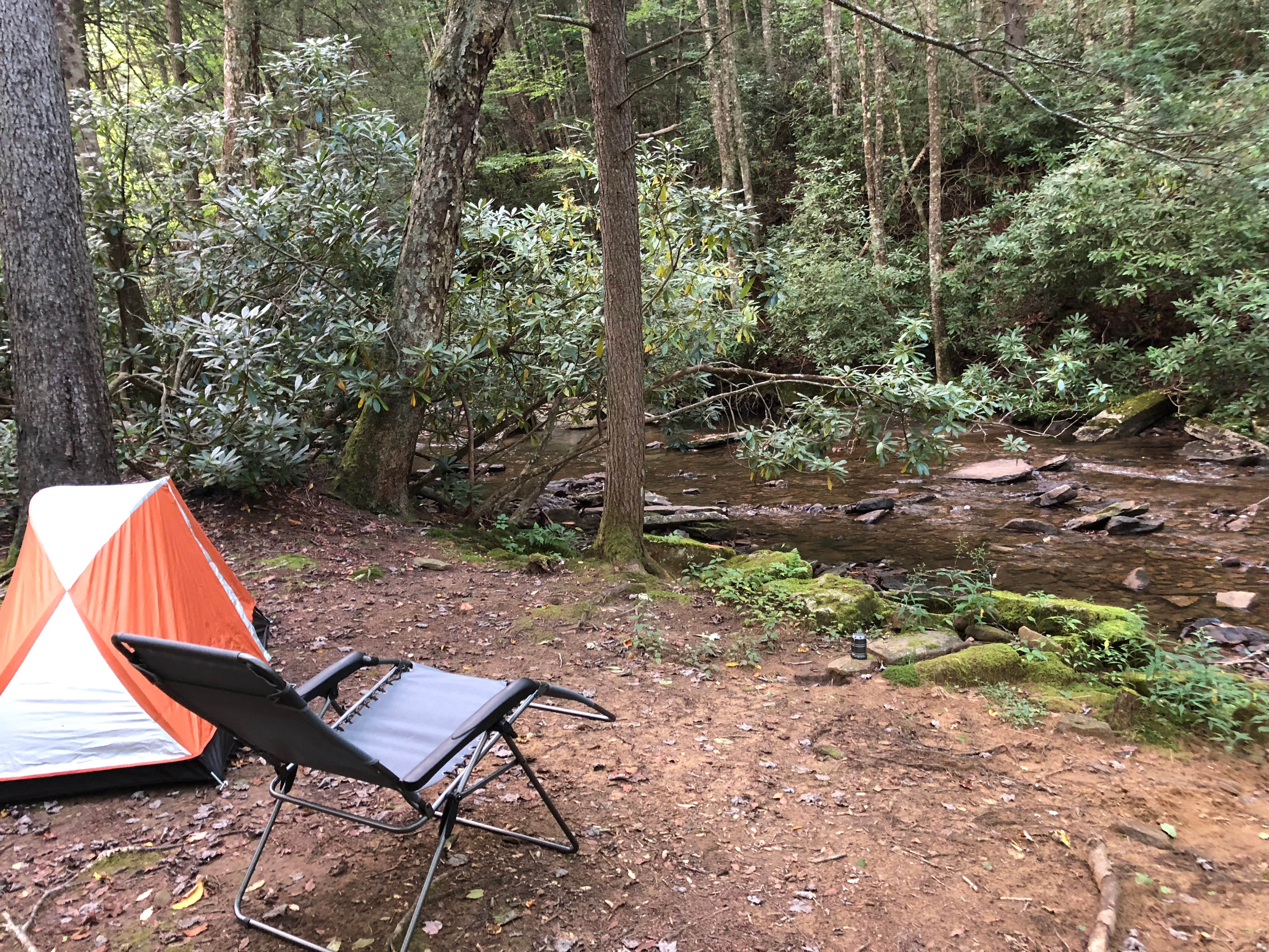 Camper submitted image from Kumbrabow State Forest - 4