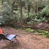 Review photo of Kumbrabow State Forest by Kenneth K., November 19, 2018
