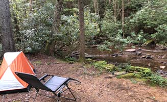 Kenneth K.'s photo at Kumbrabow State Forest near French Creek, WV