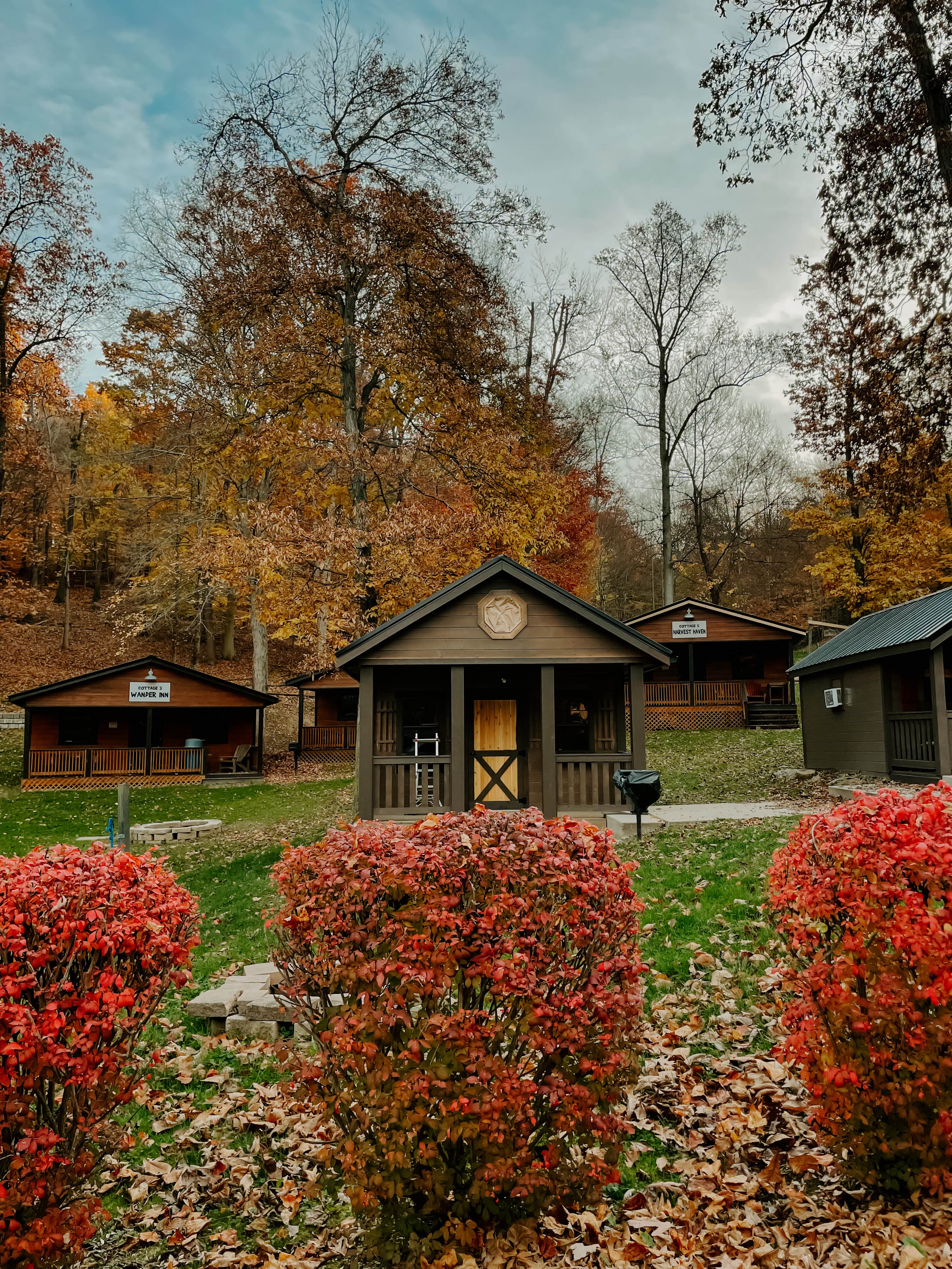 Ashley S.'s photo of a cabin at Woods Tall Timber Resort near Burbank, OH