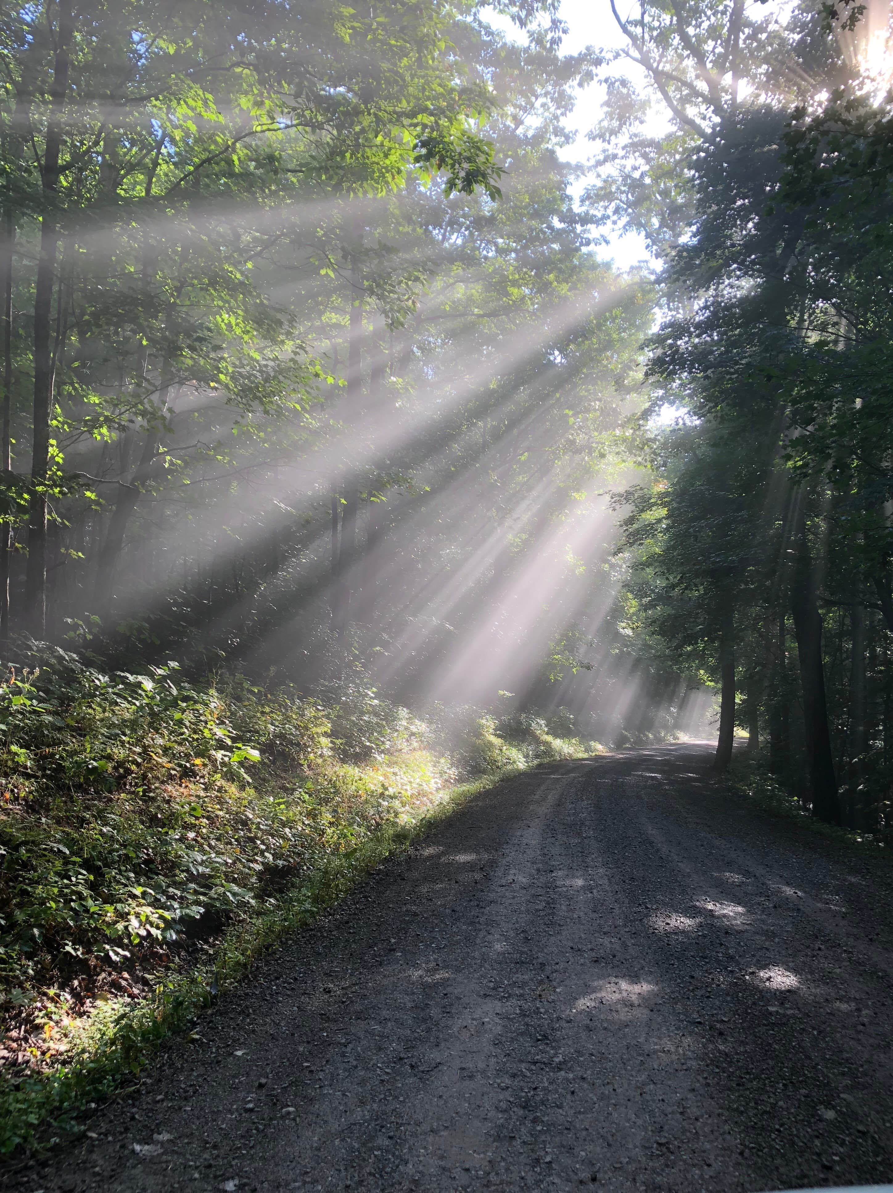 Camper submitted image from Kumbrabow State Forest - 5