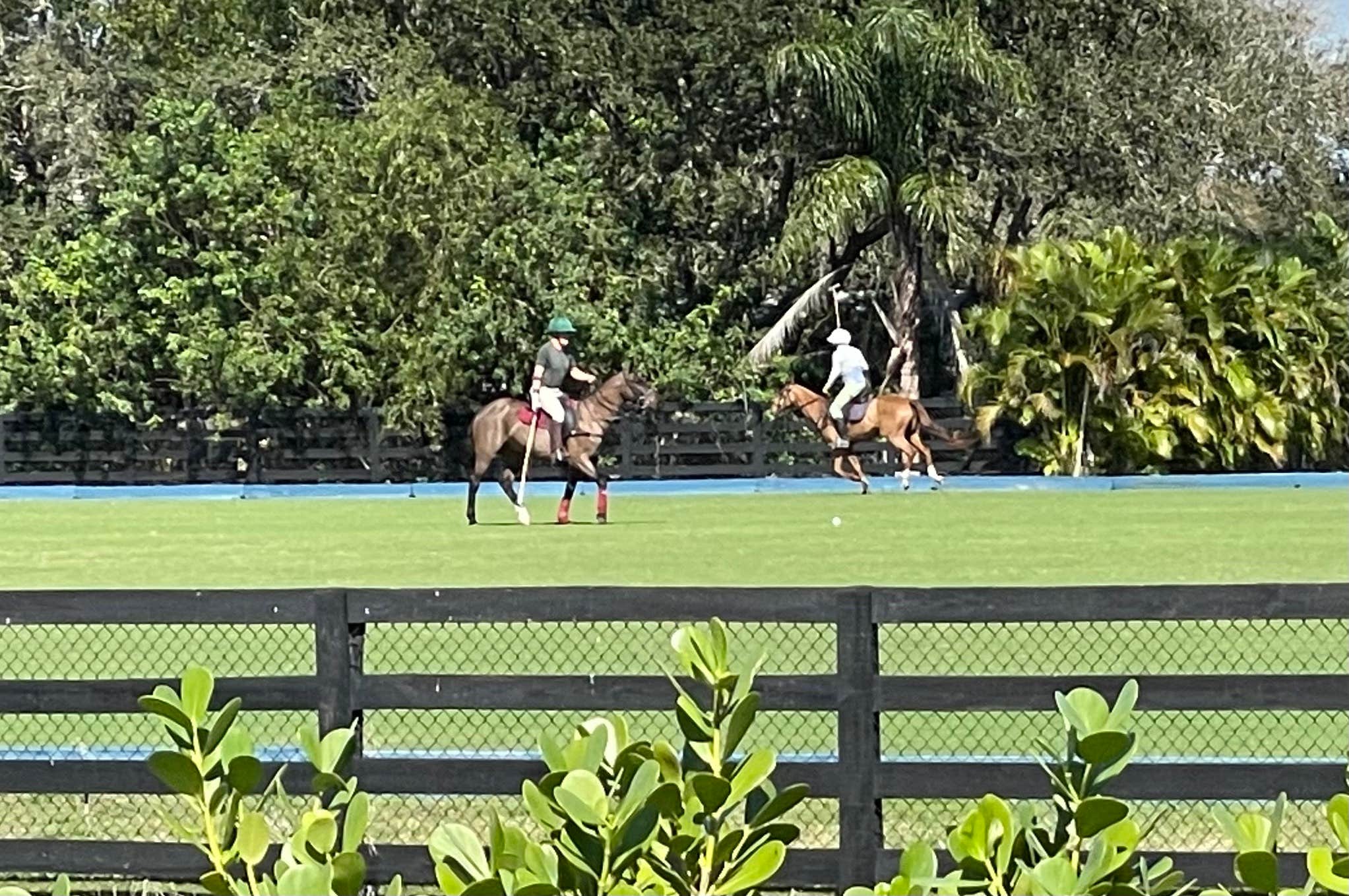 Camper-submitted photo at Calatrava Ranch near Wellington, FL