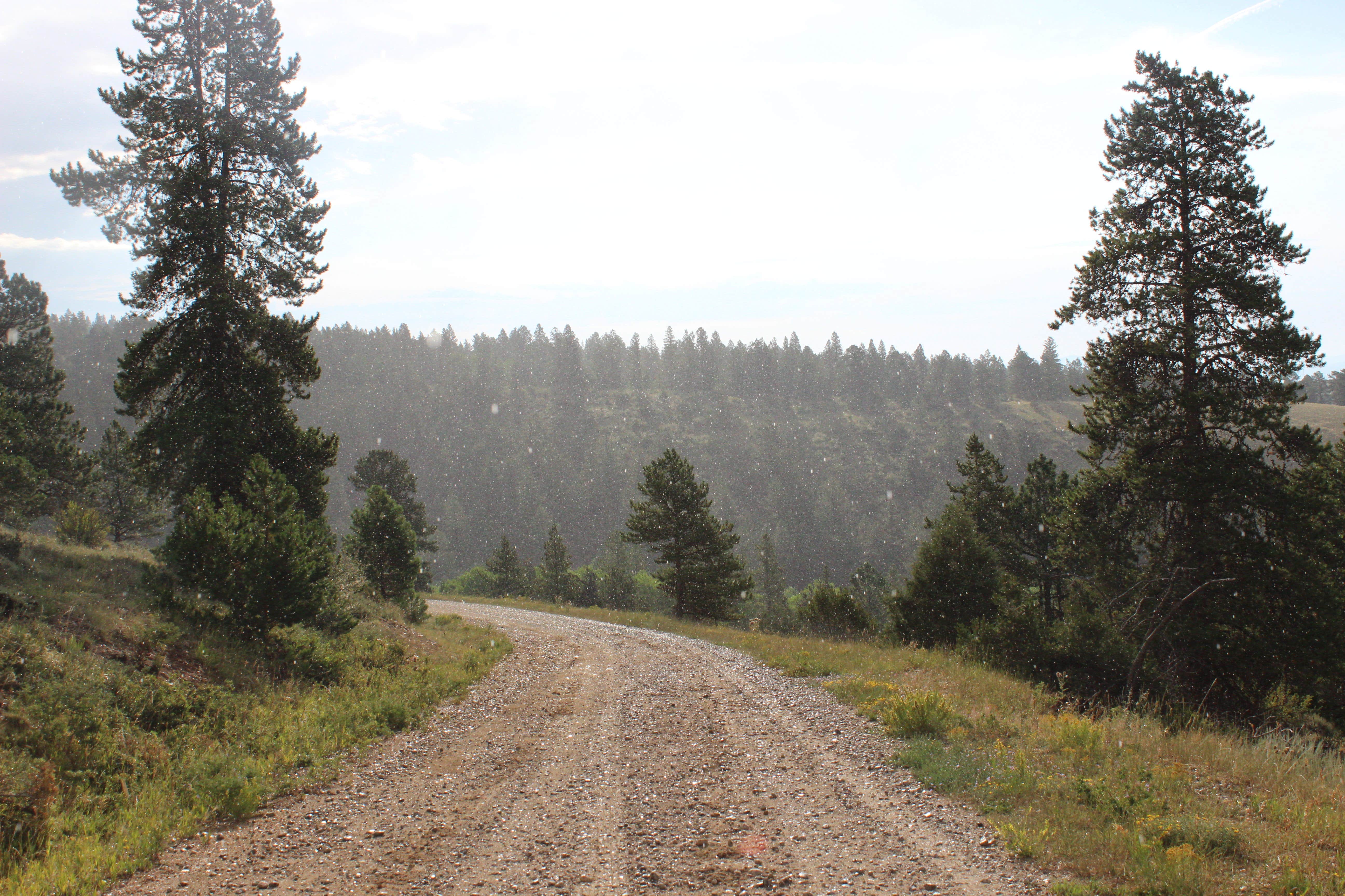Camper-submitted photo at 228A Dispersed Campsite near Monarch, CO