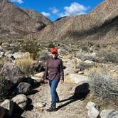 Review photo of The Springs at Borrego RV Resort by Patrick J., February 6, 2024