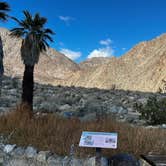 Review photo of The Springs at Borrego RV Resort by Patrick J., February 6, 2024