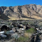 Review photo of The Springs at Borrego RV Resort by Patrick J., February 6, 2024