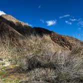 Review photo of The Springs at Borrego RV Resort by Patrick J., February 6, 2024