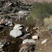 Review photo of The Springs at Borrego RV Resort by Patrick J., February 6, 2024