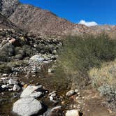 Review photo of The Springs at Borrego RV Resort by Patrick J., February 6, 2024