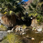 Review photo of The Springs at Borrego RV Resort by Patrick J., February 6, 2024