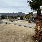 Review photo of The Springs at Borrego RV Resort by Patrick J., February 6, 2024