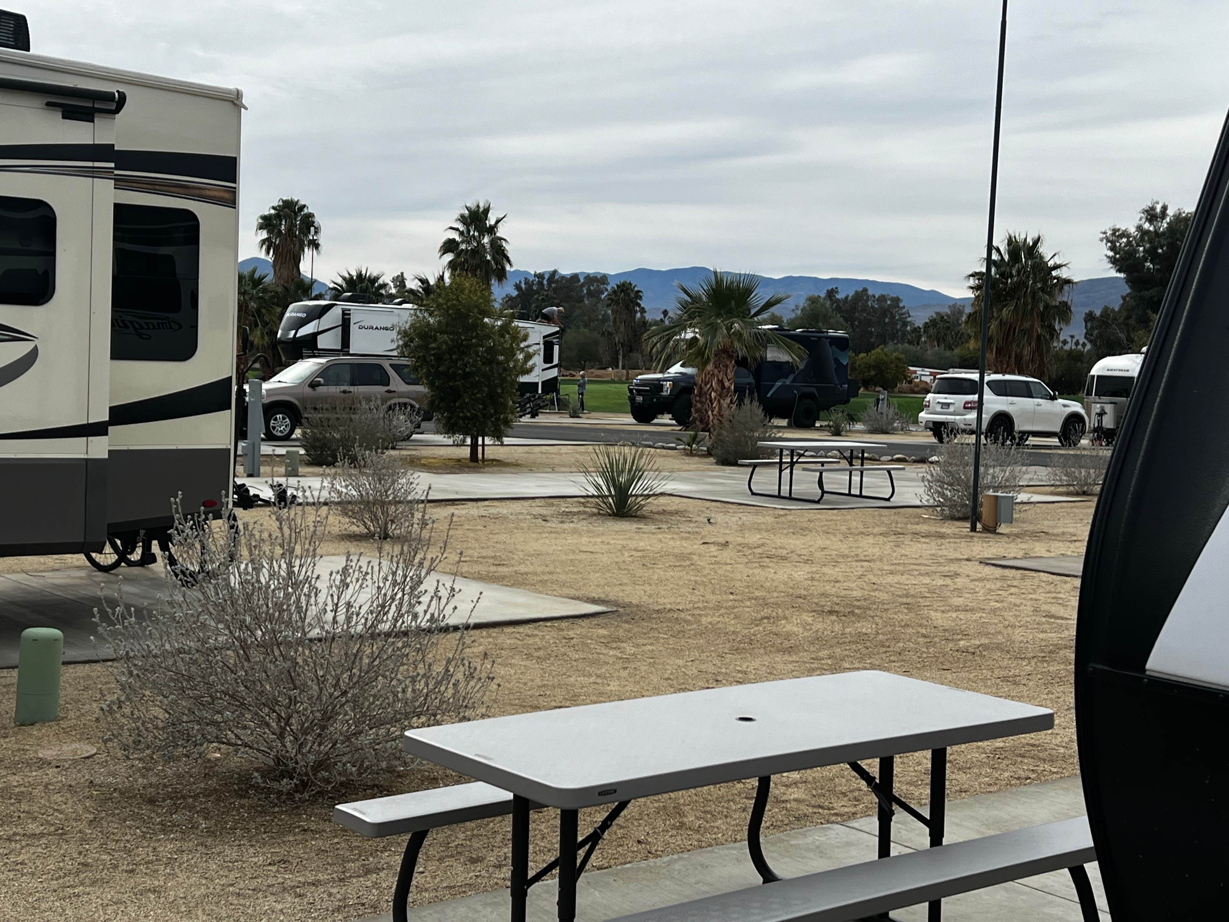 Camper-submitted photo at The Springs at Borrego RV Resort near Calipatria, CA