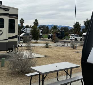 Camper-submitted photo from The Springs at Borrego RV Resort