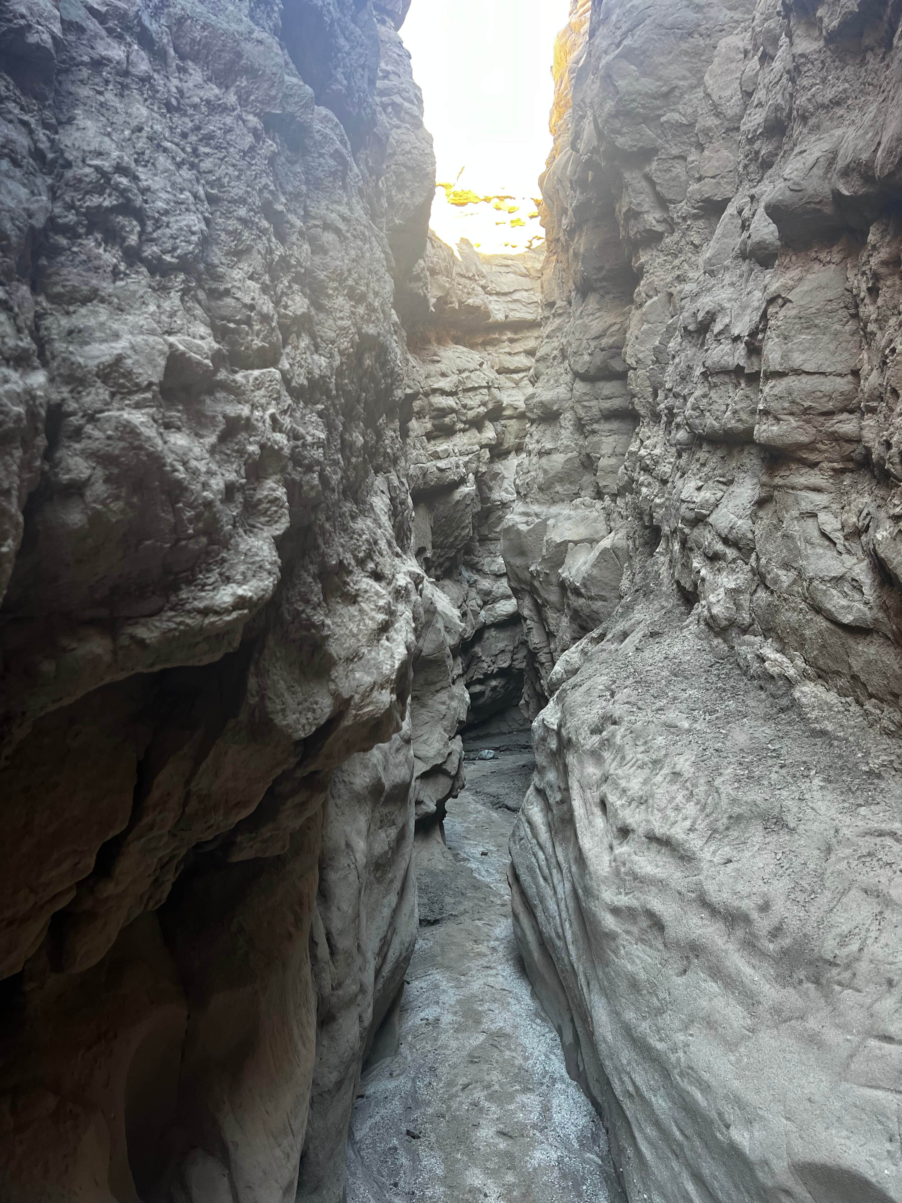 Camper-submitted photo at The Springs at Borrego RV Resort near Calipatria, CA