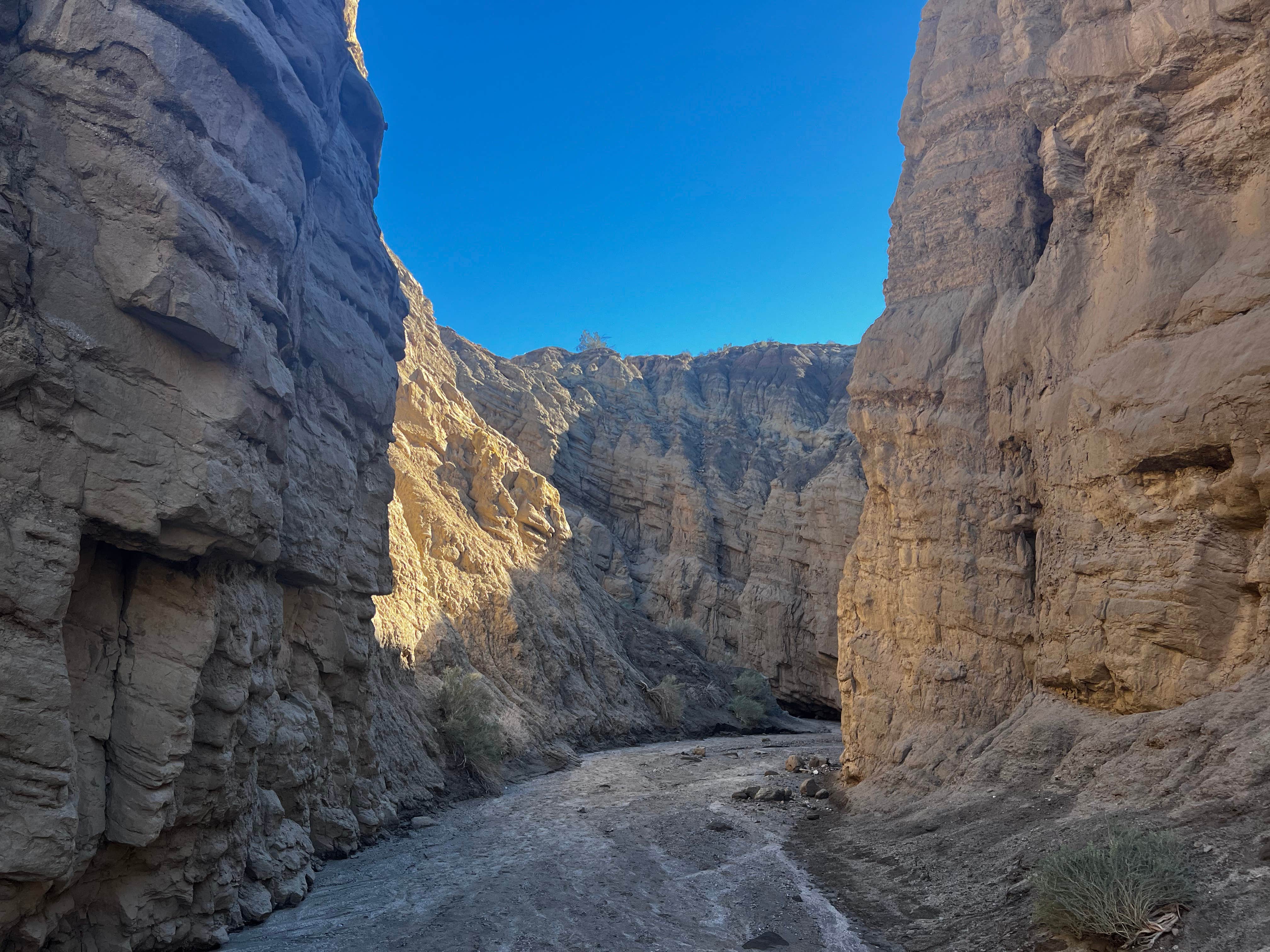 Camper-submitted photo at The Springs at Borrego RV Resort near Calipatria, CA