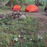 Review photo of 228A Dispersed Campsite by Allison D., November 19, 2018