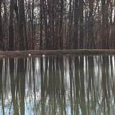 Review photo of Benner's Meadow Run RV Campground by Arlyn S., February 6, 2024