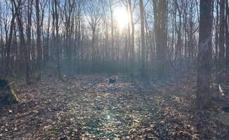 Arlyn S.'s photo of camping with pets at Benner's Meadow Run RV Campground near Paw Paw, WV
