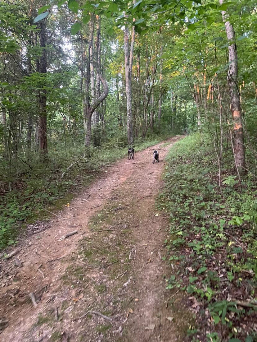 Busted Pipe Campground Camping | Jonesborough, TN | The Dyrt