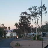 Review photo of Boulder Beach Campground — Lake Mead National Recreation Area by Jean L., November 19, 2018
