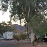 Review photo of Boulder Beach Campground — Lake Mead National Recreation Area by Jean L., November 19, 2018