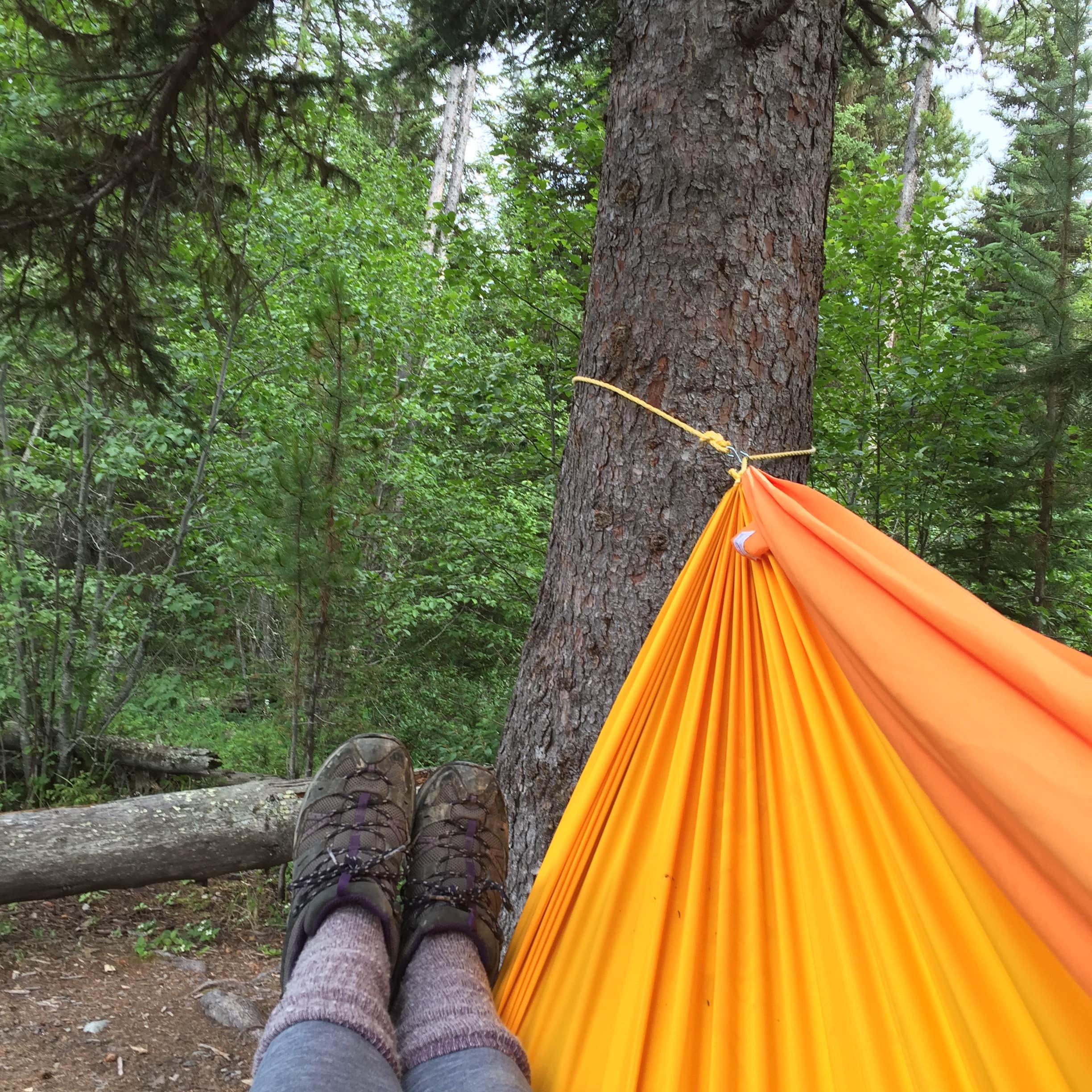Stephanie Z.'s photo at Bowman Lake Campground — Glacier National Park near Polebridge, MT