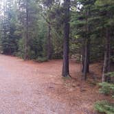 Review photo of Copper Creek Campground by Dexter I., November 19, 2018