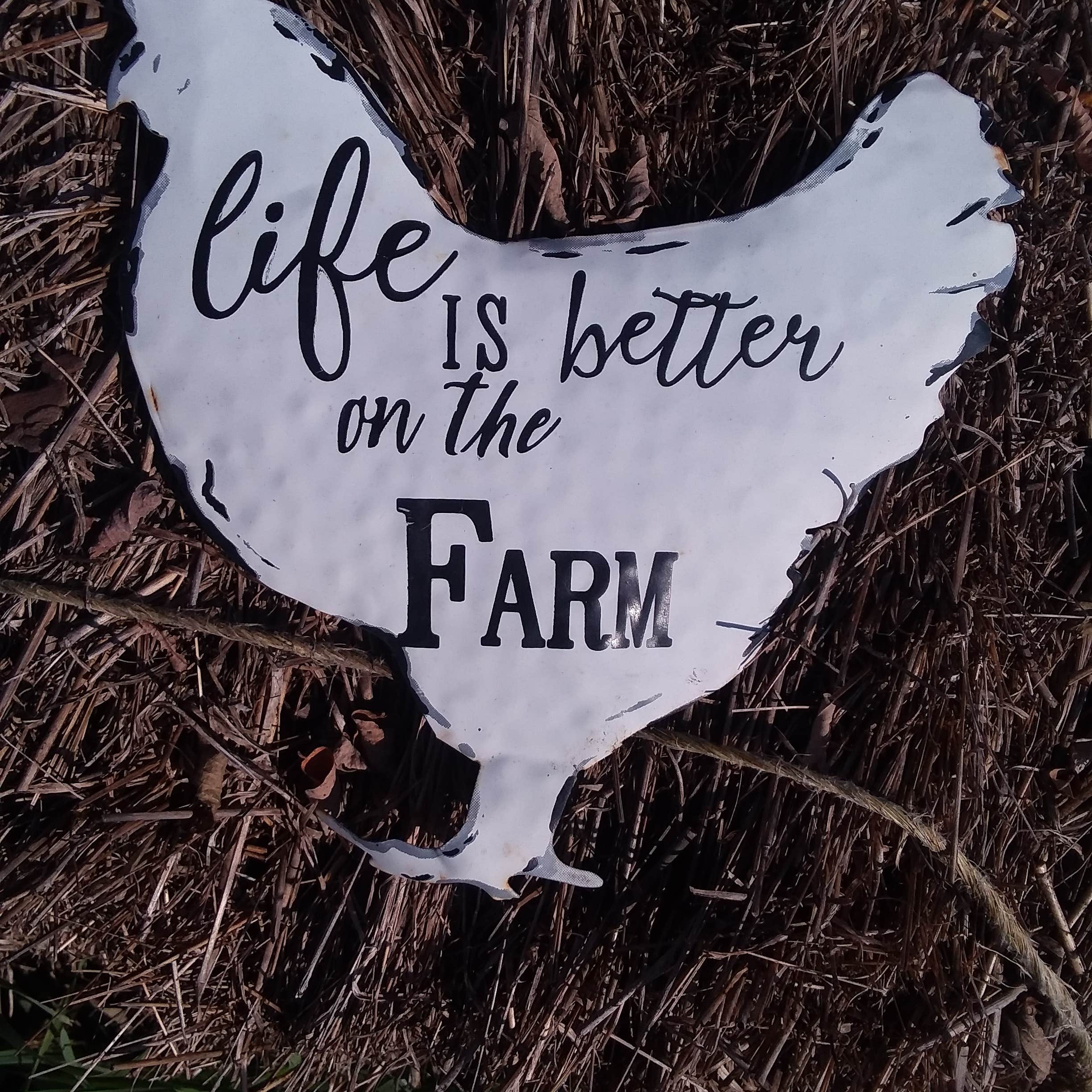 Camper-submitted photo at STAR LEE FARM near Saxton, PA