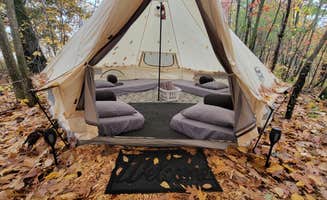 Chelsi L.'s photo at Aefintyr near Rochester, MN