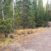 Review photo of Copper Creek Campground by Dexter I., November 19, 2018