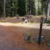 Review photo of Copper Creek Campground by Dexter I., November 19, 2018