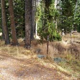 Review photo of Copper Creek Campground by Dexter I., November 19, 2018