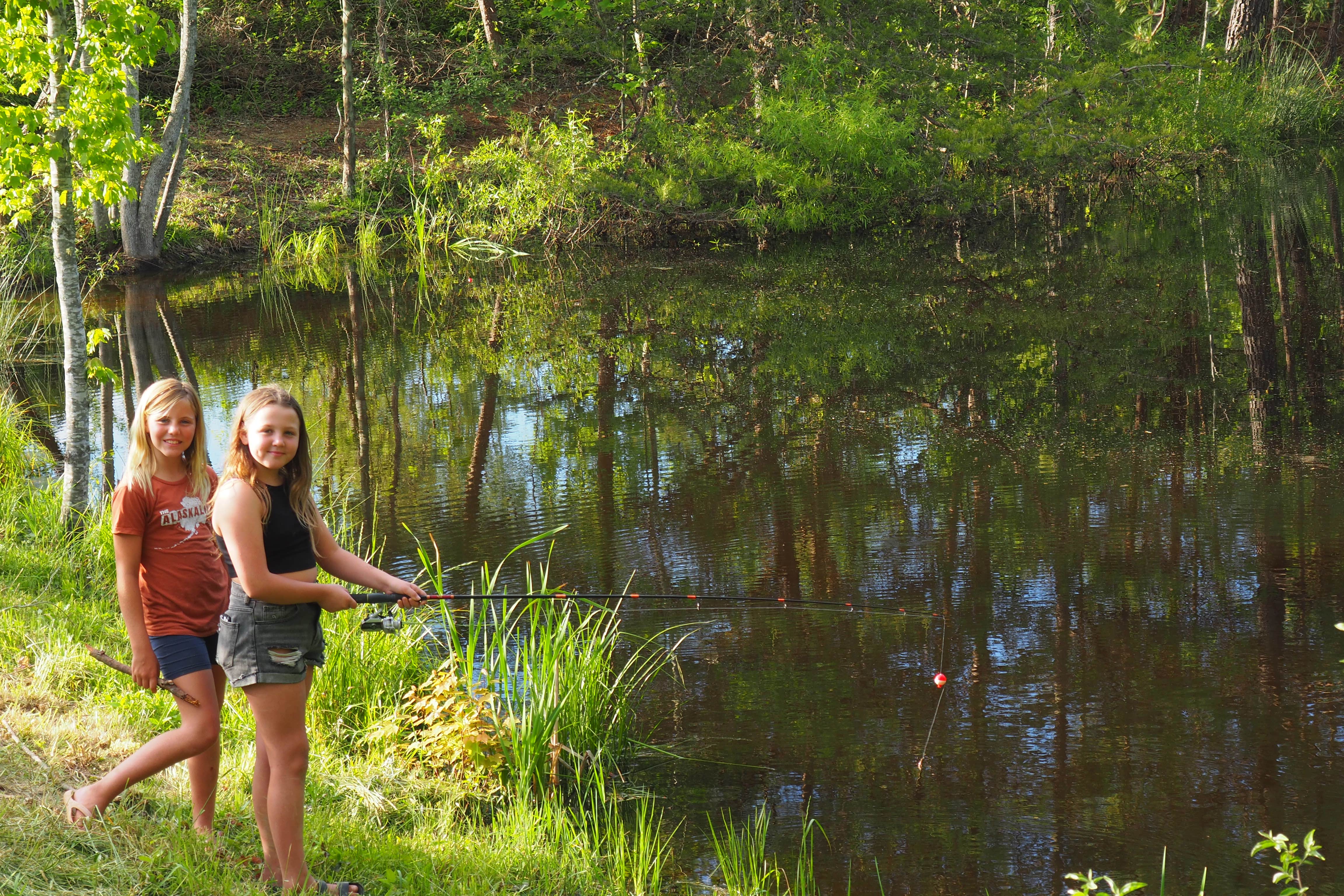 Camper-submitted photo at Firefly Hills near Beattyville, KY