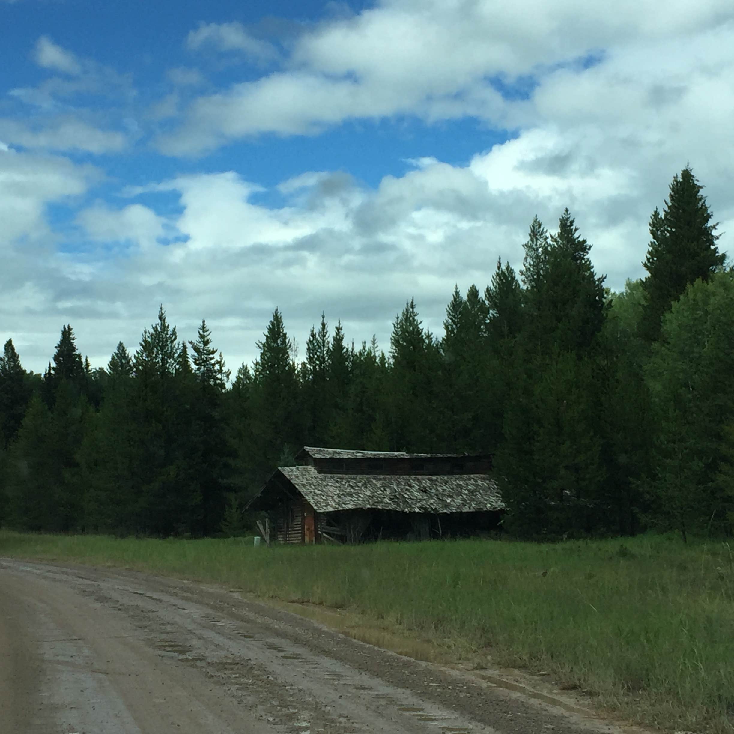 Camper submitted image from Bowman Lake Campground — Glacier National Park - 4