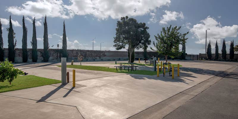 Camper submitted image from Sun and Fun RV Park