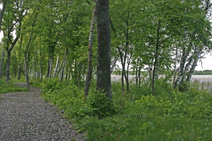 Camper-submitted photo at Walker Lake Preserve near Dent, MN