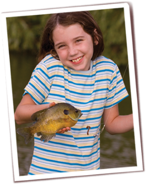 Camper-submitted photo at Walker Lake Preserve near Dent, MN