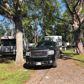 Review photo of Big Tree RV Park by Dorothea  J., November 20, 2018