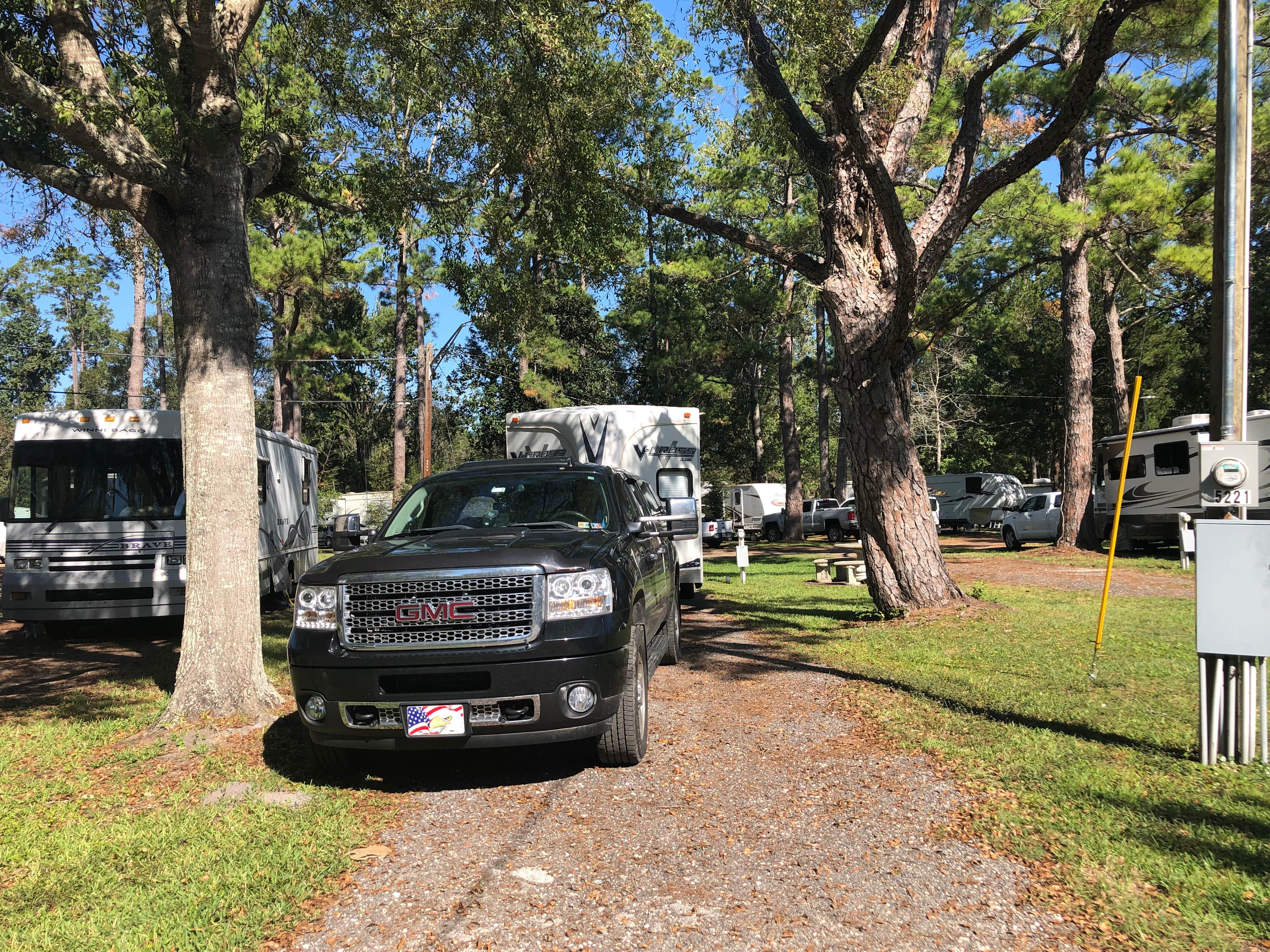 Camper submitted image from Big Tree RV Park - 3