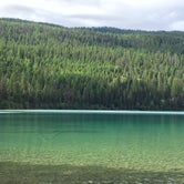 Review photo of Bowman Lake Campground — Glacier National Park by Stephanie Z., August 23, 2016