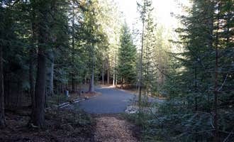 Camping near Beaver Lodge Resort: The Wilds RV Campsite, Colville, Washington