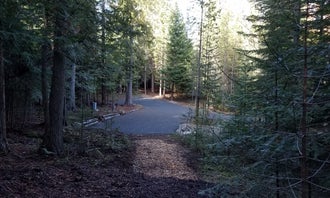 Camping near Lake Leo Campground: The Wilds RV Campsite, Colville, Washington