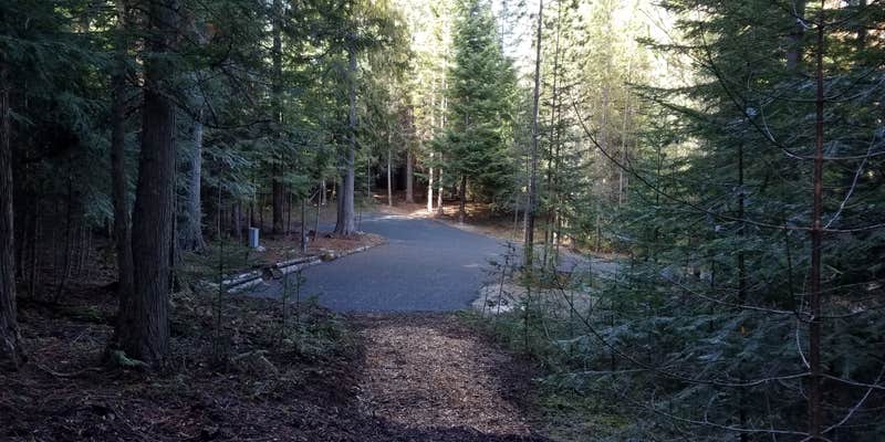 Camper submitted image from The Wilds RV Campsite