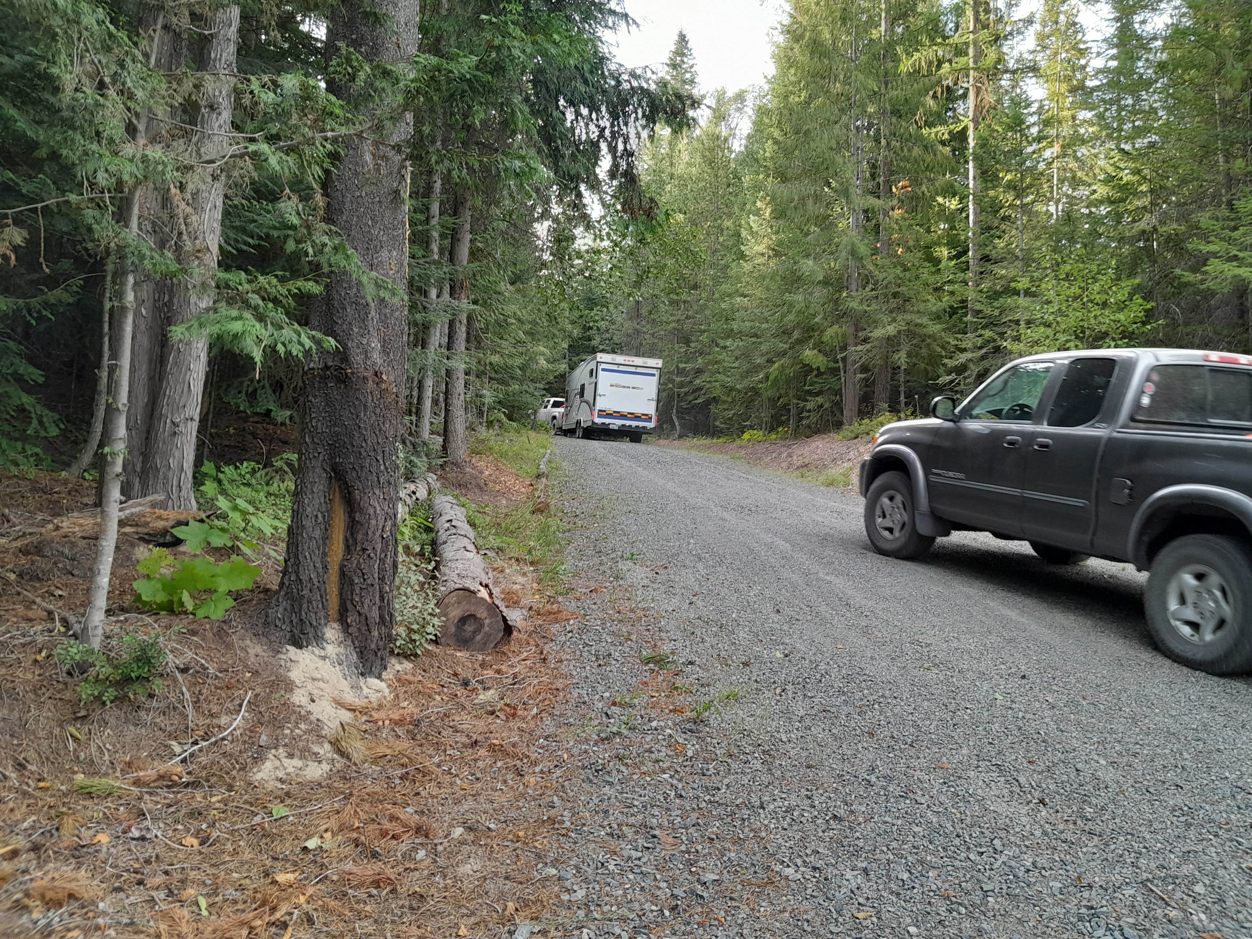 Camper-submitted photo at The Wilds RV Campsite near Chewelah, WA